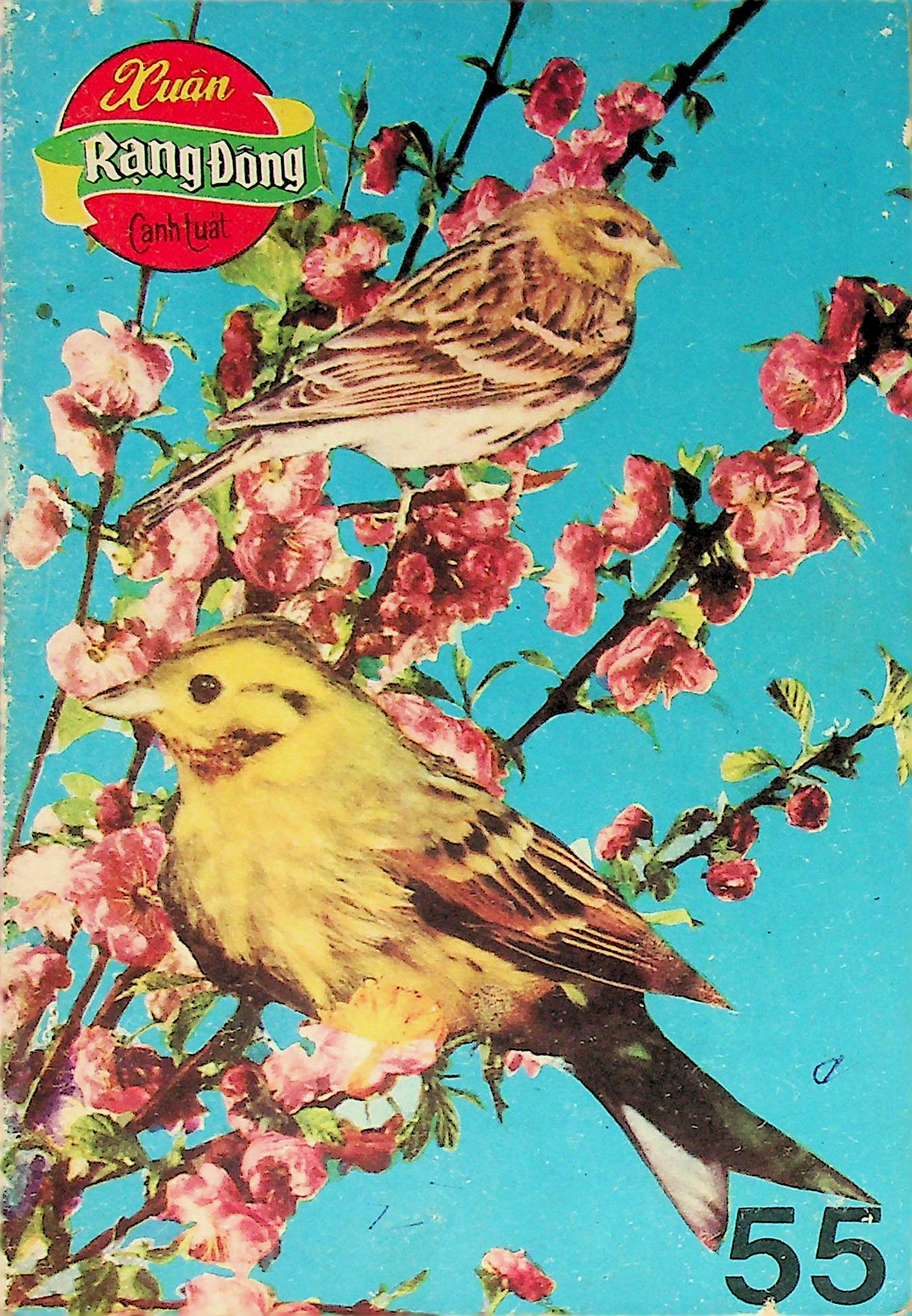 Rạng Đông 55